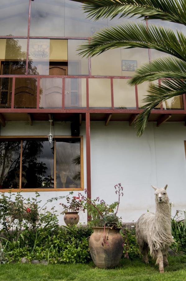 קוסקו Inkita Boutique Guesthouse מראה חיצוני תמונה